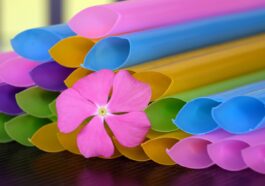 Plastikstrohhalme Kaufen