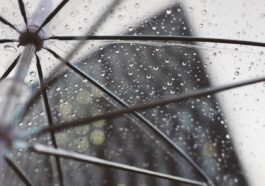 Plastik Im Alltag Beispiele