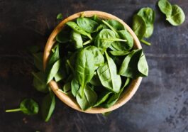Basilikum Pesto Selber Machen Haltbar