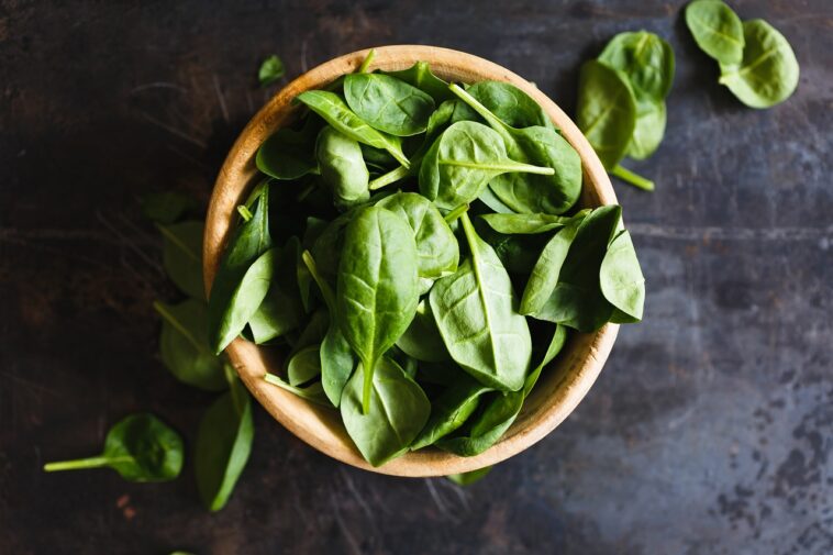 Basilikum Pesto Selber Machen Haltbar