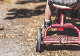 Altes Spielzeug Entsorgen