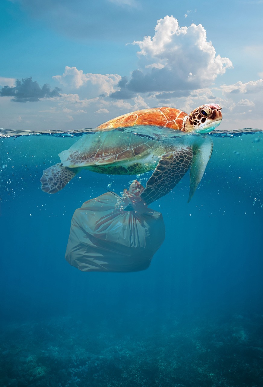 Plastik Nachteile – Die dunklen Seiten von Plastik: Nachteile und Auswirkungen auf die Umwelt.