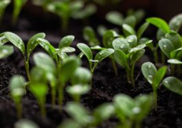 Nachhaltige produkte