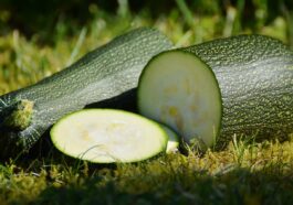 Zucchini Einmachen Süß Sauer
