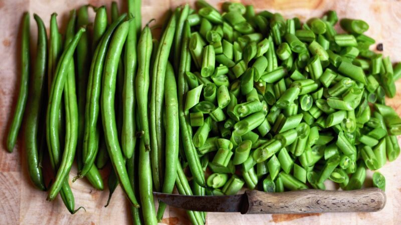 Grüne Bohnen Einfrieren Roh Oder Gekocht – So bleiben Grüne Bohnen frisch: Einfrieren roh oder gekocht?