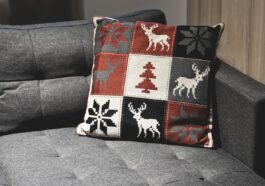 Polster reinigen Sauger