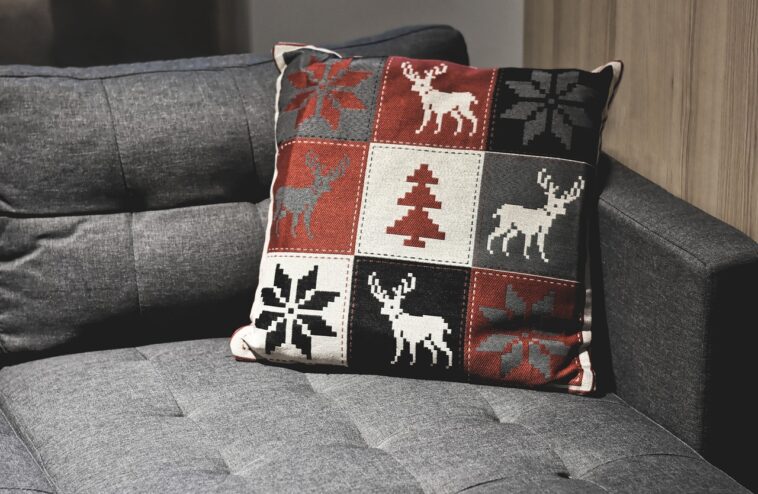 Polster reinigen Sauger