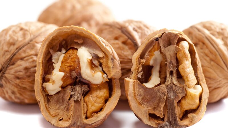 Nüsse Ungesättigte Fettsäuren – Nüsse als wichtige Quelle für ungesättigte Fettsäuren