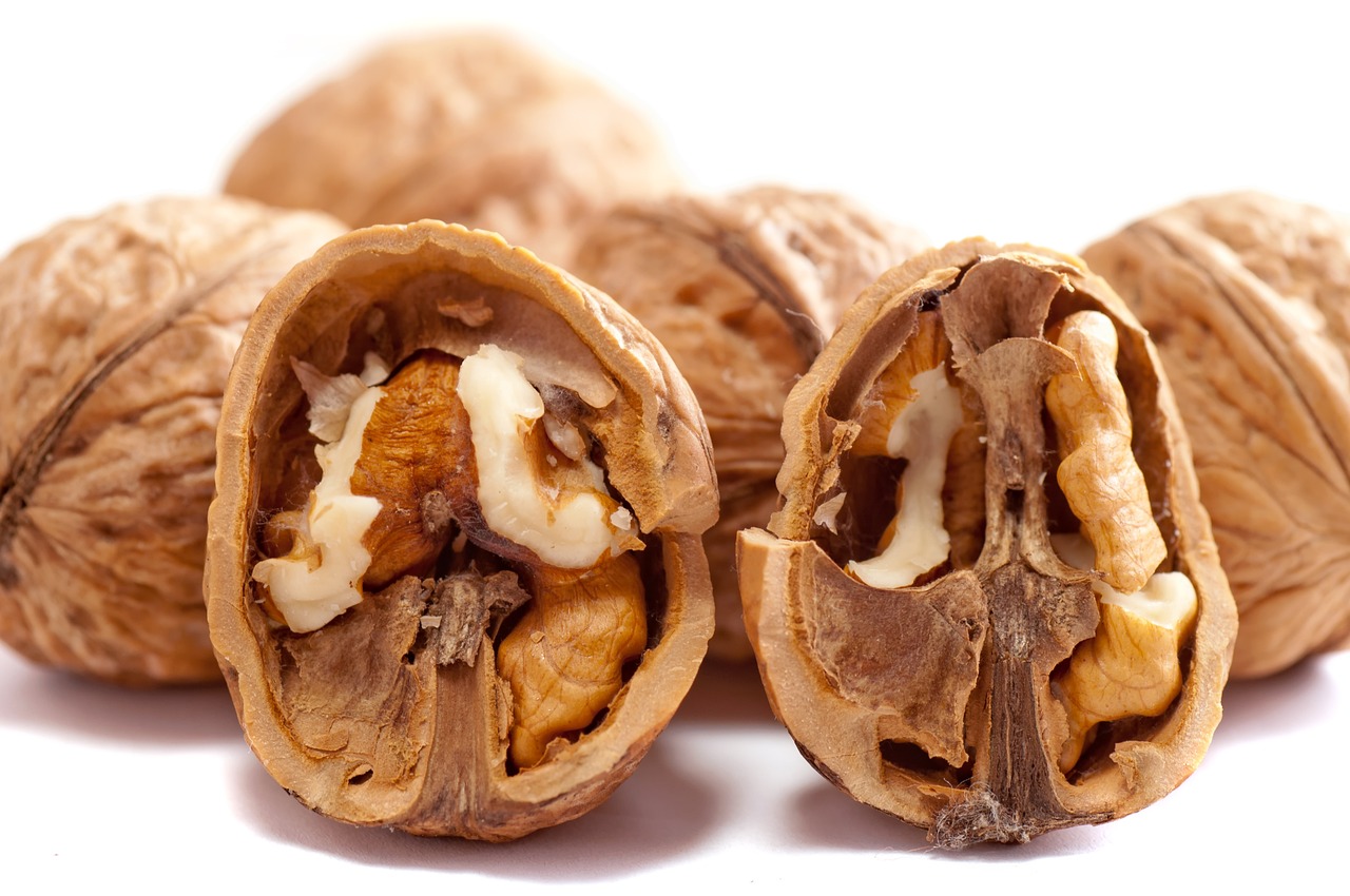 Nüsse Ungesättigte Fettsäuren – Nüsse als wichtige Quelle für ungesättigte Fettsäuren