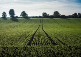 Nachhaltige Agrarsysteme