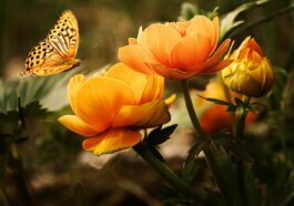 Bäume Pflanzen: darauf kannst Du achten