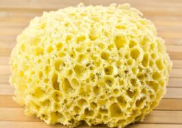 Nachhaltige Schwämme und Bürsten