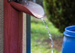 Regenwasser auffangen