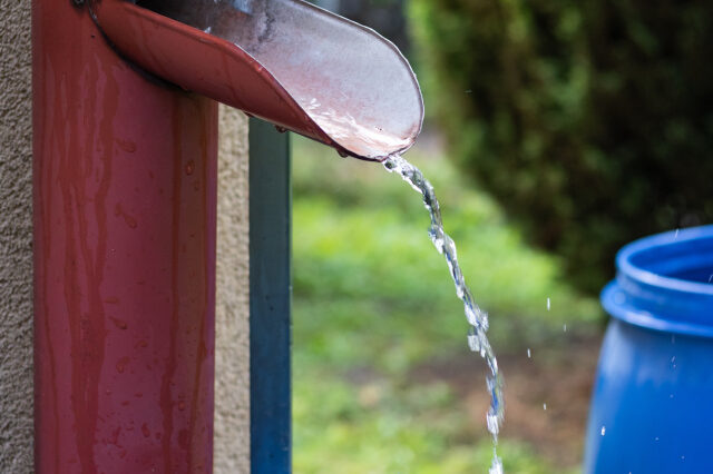 Regenwasser auffangen